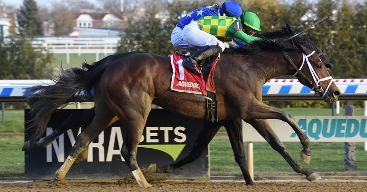 Thumbnail for Kentucky Derby Trail: Holy Bull and Withers Stakes on Saturday