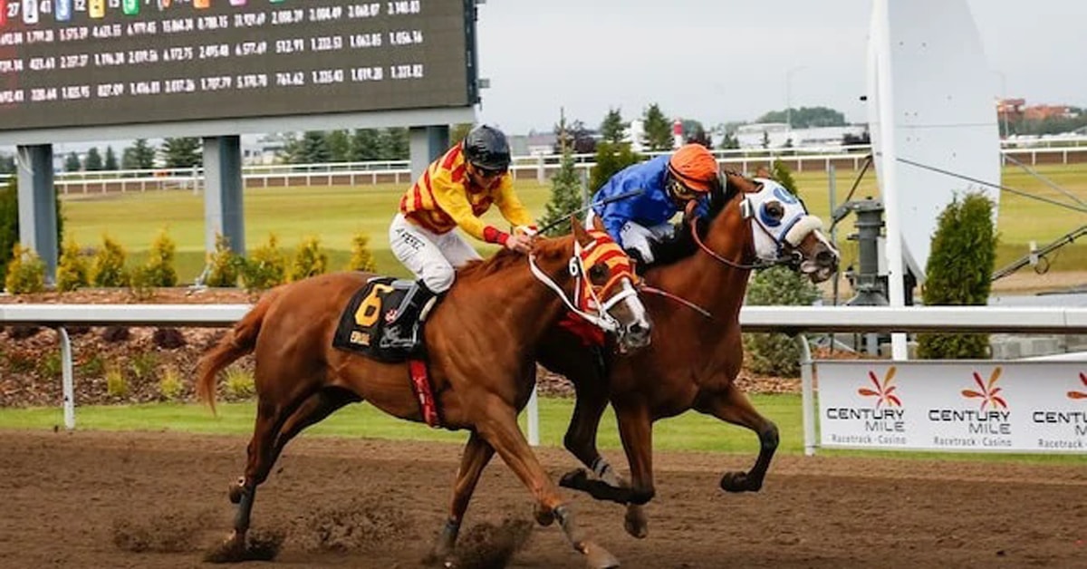 Thumbnail for Alberta Tracks Set to Offer Fixed-Odds Wagering