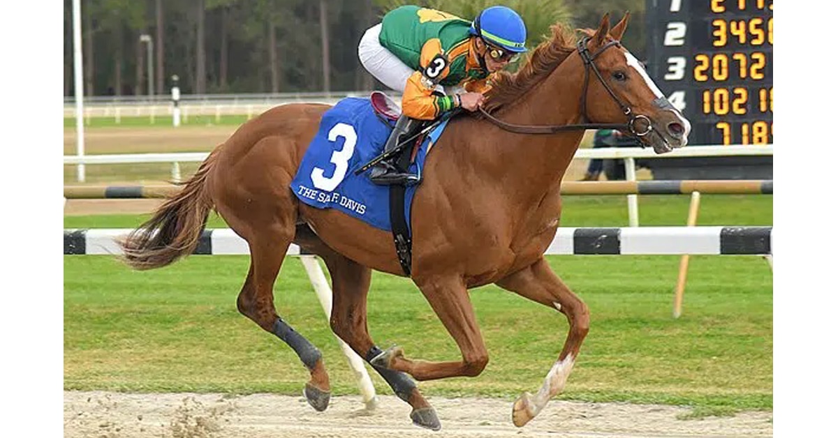 Thumbnail for Classic Win for Lynch-Trained Colt in Sam F. Davis