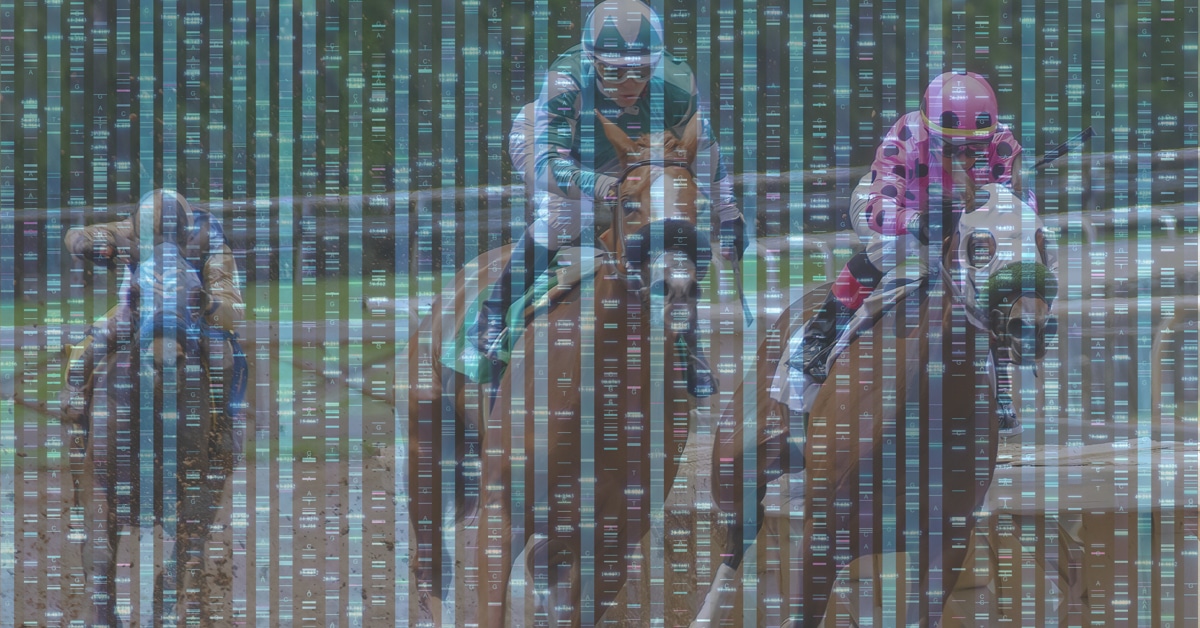 Thumbnail for Whole Genome Sequencing in 101 Thoroughbreds