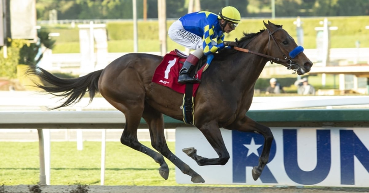 Thumbnail for Canadian-Bred Messier Romps, But Will He Get to Run in Derby?