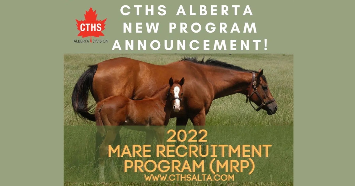 Thumbnail for Alberta CTHS Announces Mare Recruitment Program