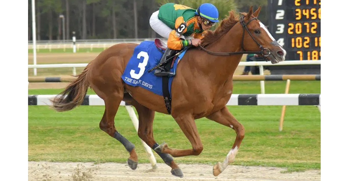 Thumbnail for Tampa Bay Derby Headlines Huge Day of Racing March 12