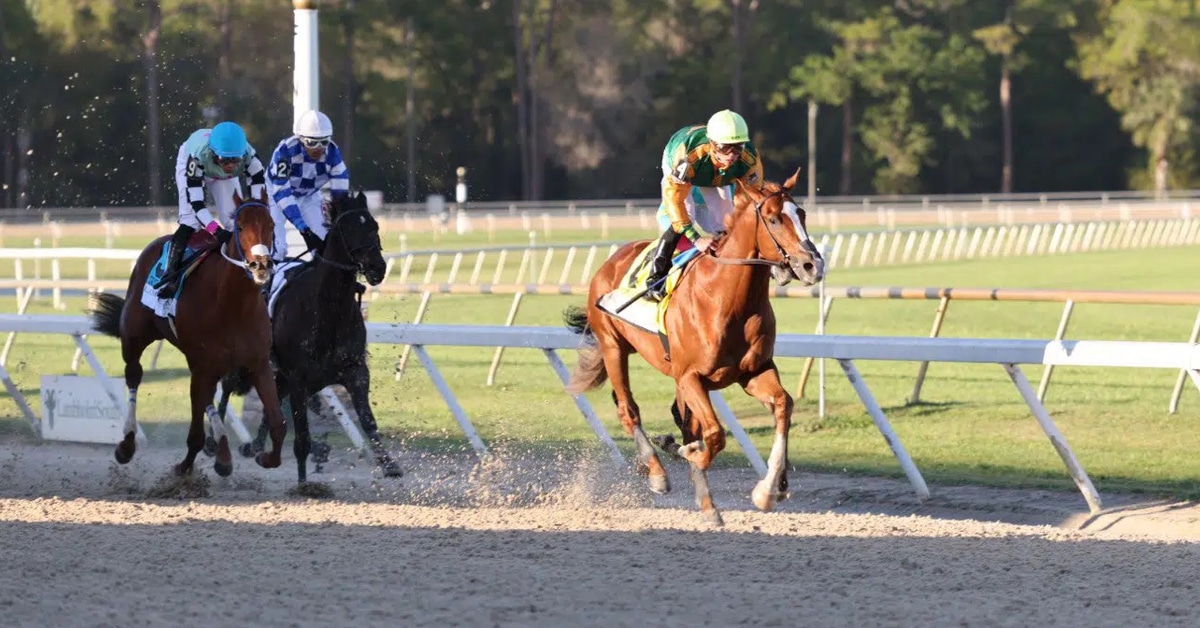 Thumbnail for Classic Causeway Romps In Tampa Bay Derby