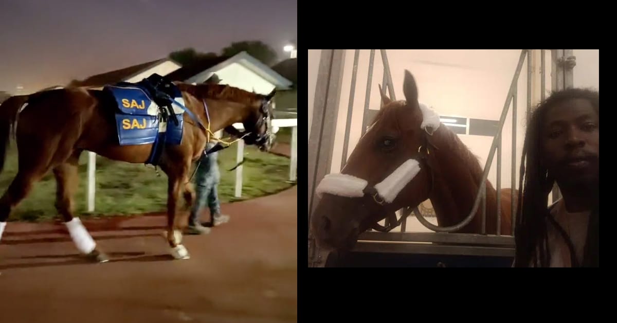 Thumbnail for Ontario Trainer Randy Thompson and His Dubai Experience of a Lifetime
