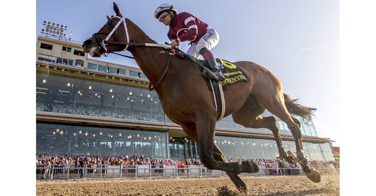 Thumbnail for Epicenter is Excellent in Louisiana Derby Victory for Asmussen, Winchell