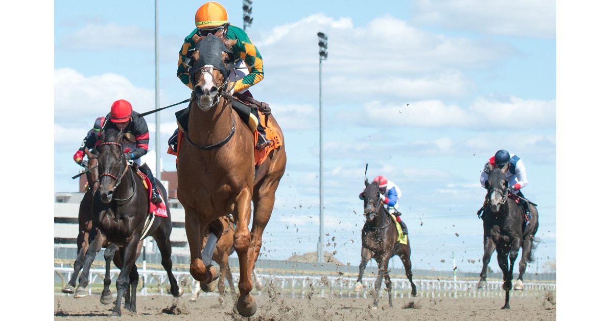 Thumbnail for Sunday Woodbine: Thorncliffe Stakes, Minshall, Ward