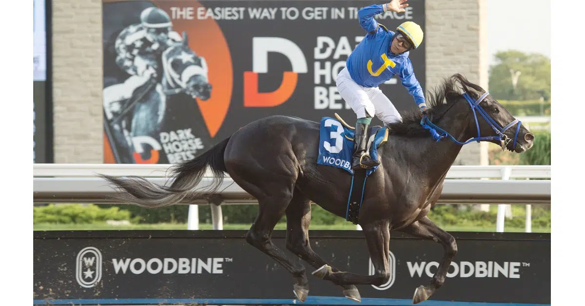 Thumbnail for Woodbine Sunday: Ontario-Bred Stakes Stars Meet Fast Americans