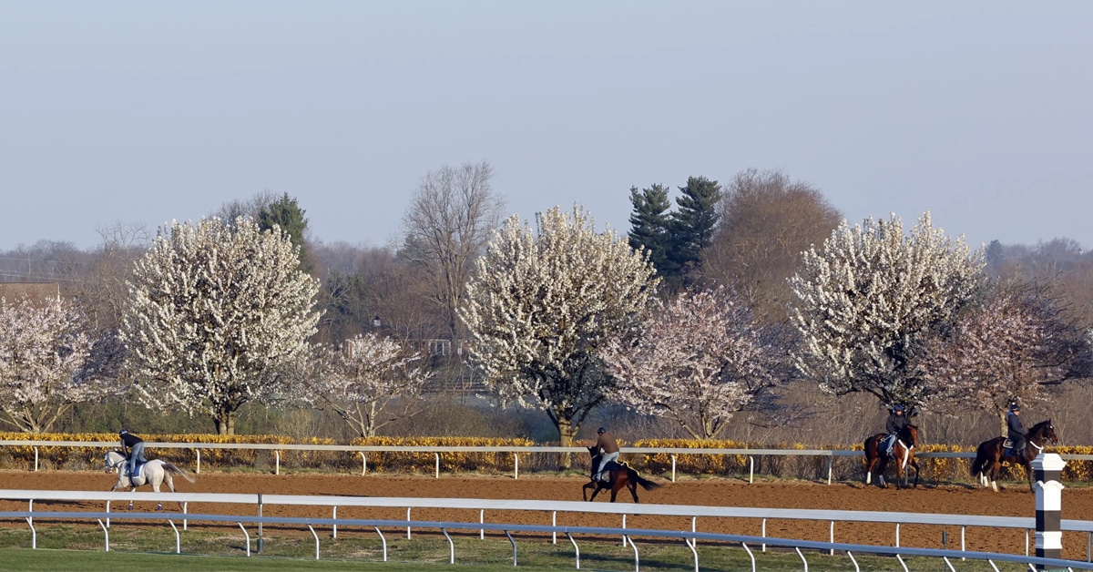 Thumbnail for Sign of Spring: Keeneland Opens Spring Meet Friday