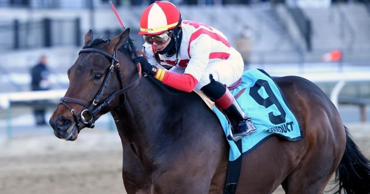 Thumbnail for Wood Memorial Is a Historic Race on Way to Kentucky Derby