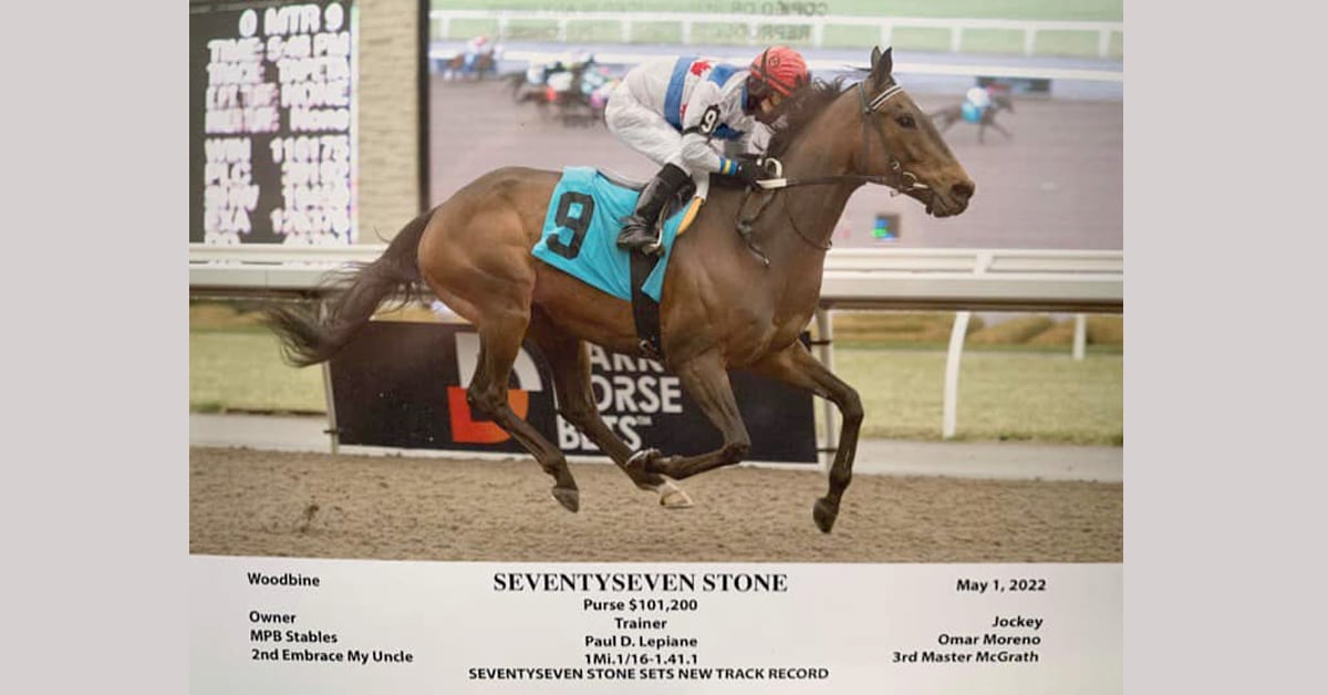 Thumbnail for Seventyseven Stone in Career-Best Form at Age 8