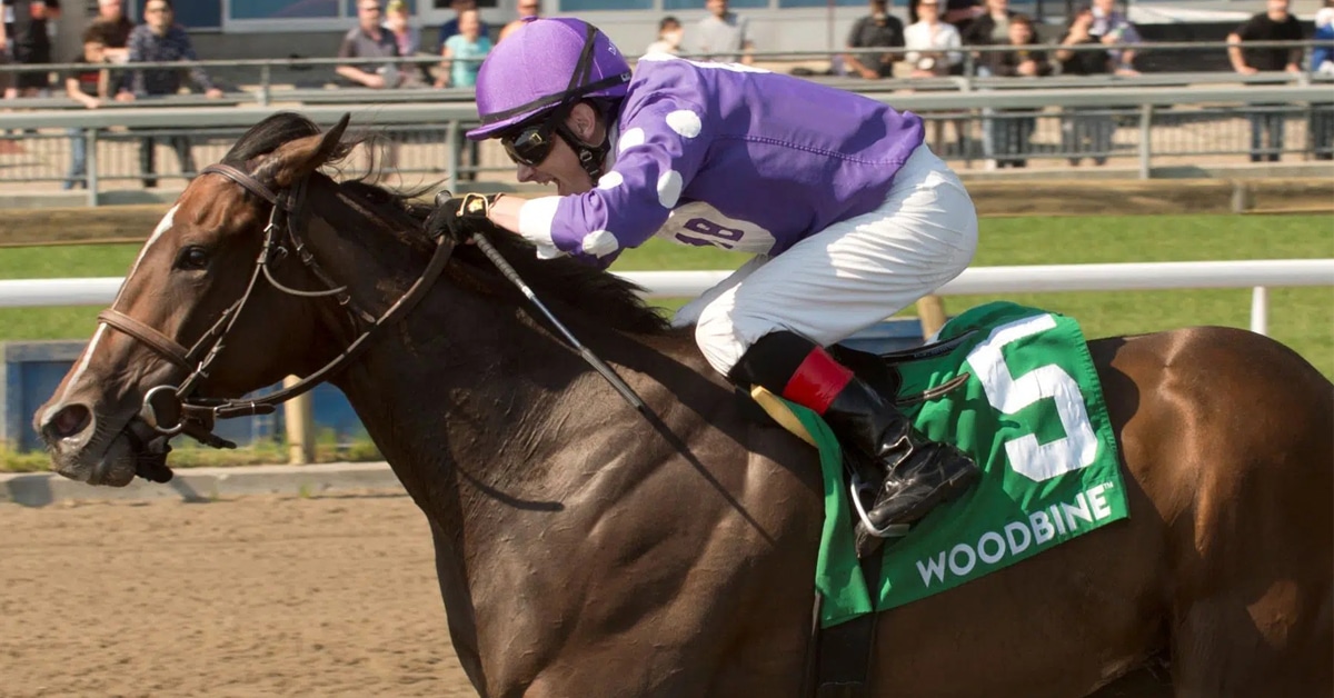 Thumbnail for Woodbine Wrap: Artie’s Storm Upsets Eclipse for Paul Buttigieg and Team