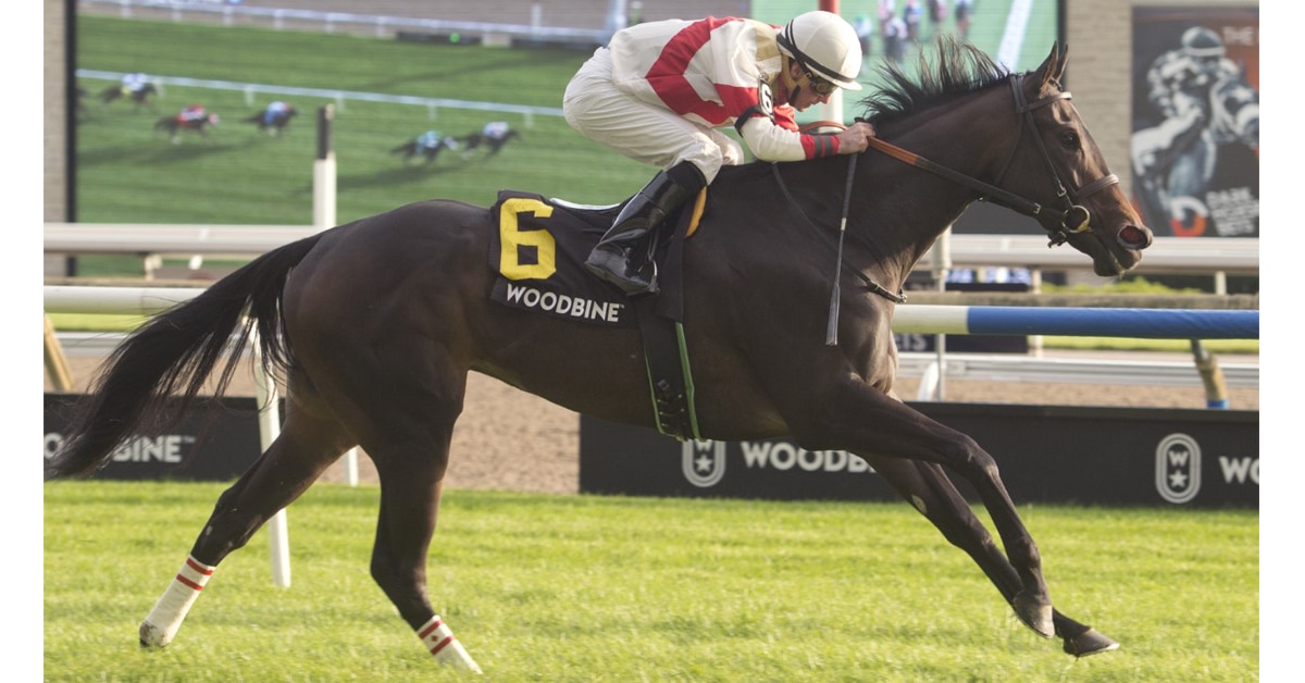 Thumbnail for Ontario-bred Lorena Looks to Continue Win Streak in Whimsical