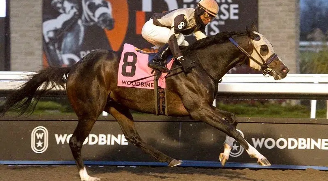 Thumbnail for Two-Time Horse of the Year Mighty Heart Returns to Woodbine