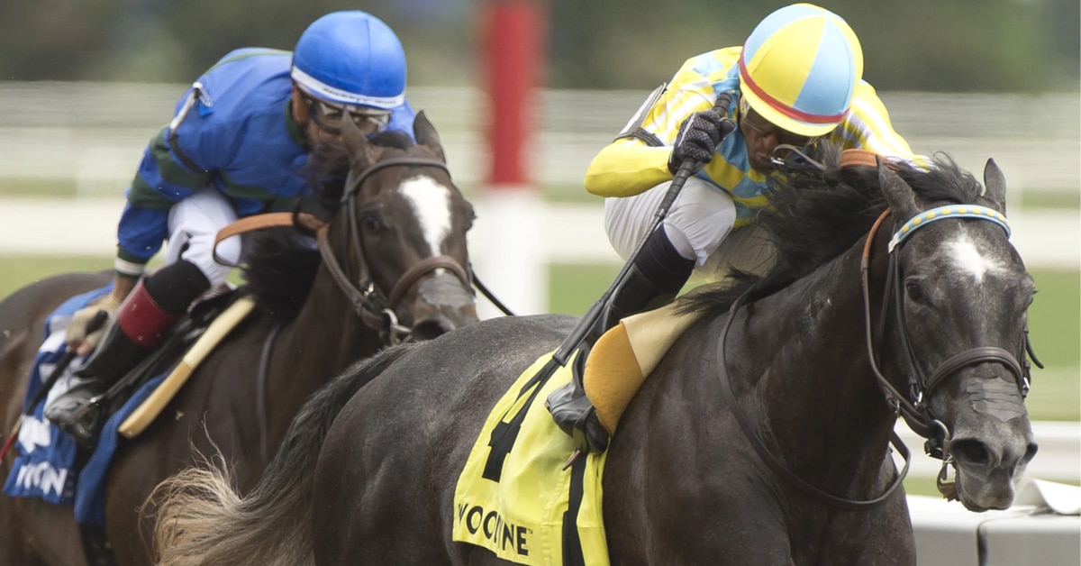 Thumbnail for Woodbine Saturday: Summertime Magic Storms to Victory