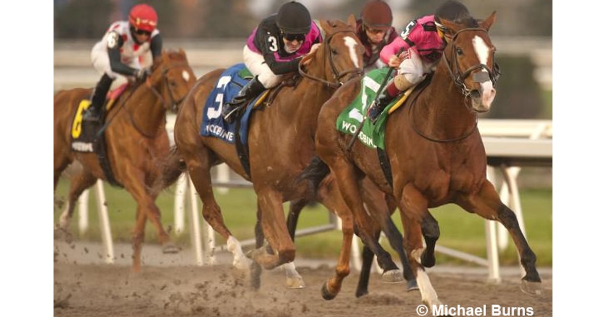 Thumbnail for Woodbine Sunday: Casse, Thomas Send Out Big Winners