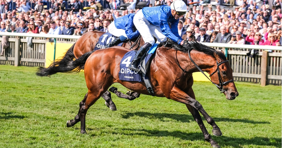 Thumbnail for Coroebus Wins 2000 Guineas; Cachet Takes 1000 gn For New Owners