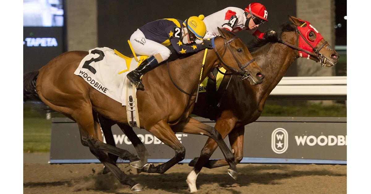 Thumbnail for Woodbine Sunday: Ballade Stakes Draws Big Field of 13