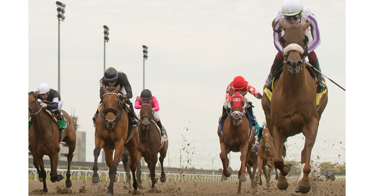 Thumbnail for Woodbine Wrap: Dream Trip for Drew, Big Wins for Carey/Fitzhenrys
