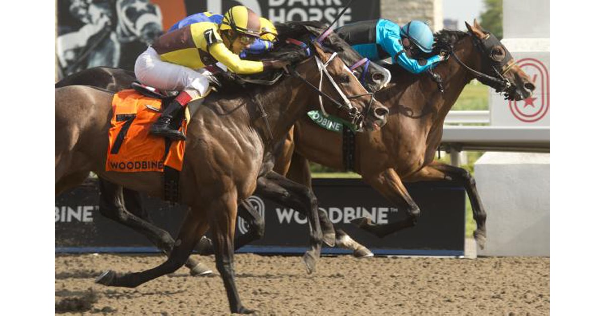 Thumbnail for Blockbuster Saturday at Woodbine Includes Four Graded Stakes