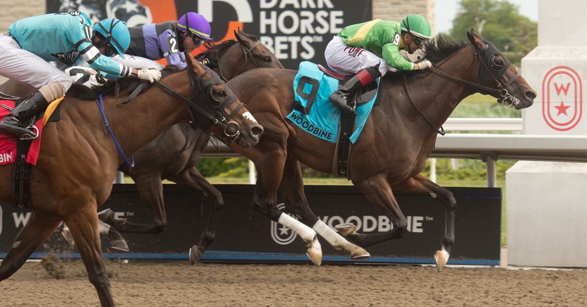 Thumbnail for Woodbine Wrap: Gamble Pays Off, 25 Trainers Win 35 Races In Week