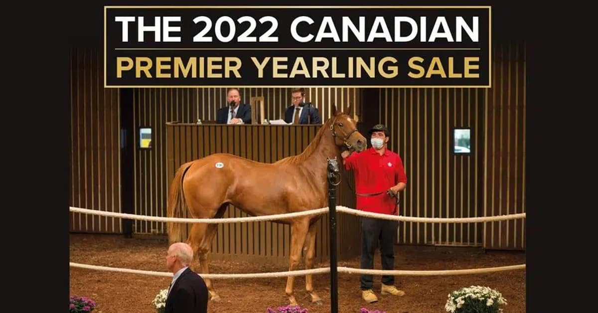 Thumbnail for Ontario’s Canadian Premier Yearling Sale Catalogue On Line