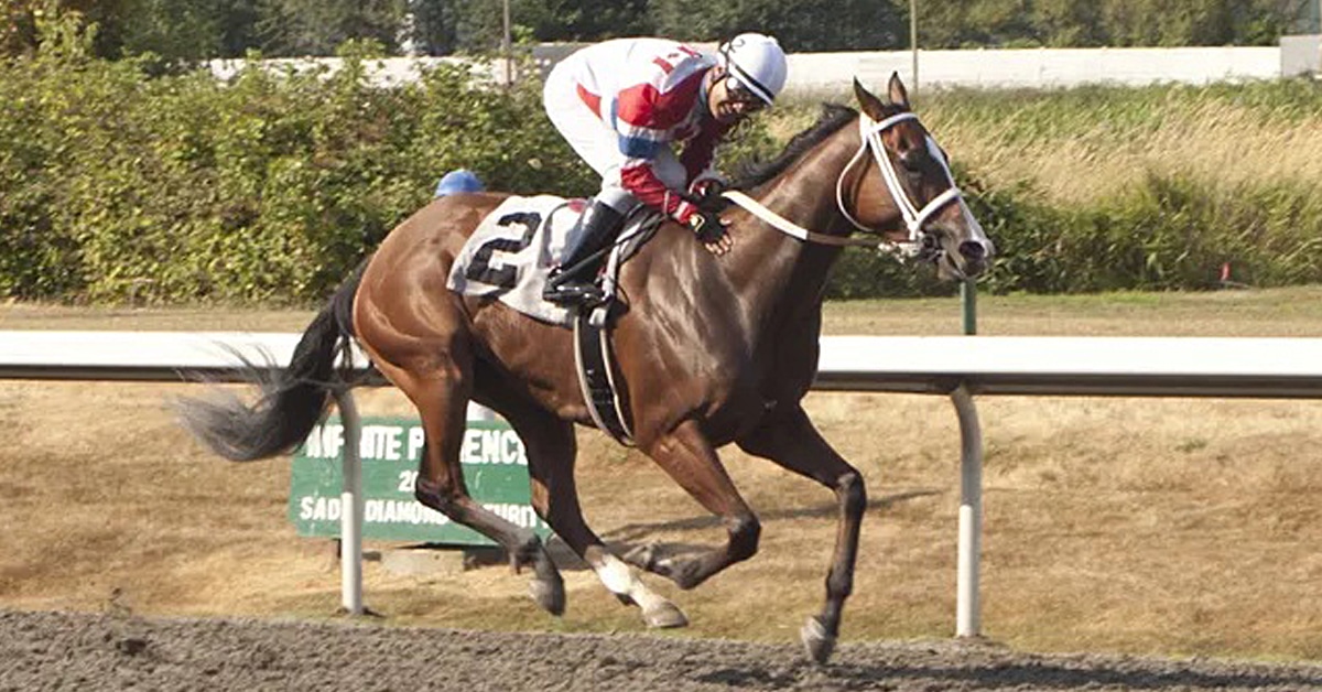 Thumbnail for Infinite Patience Wins Return on Canada Day at Hastings
