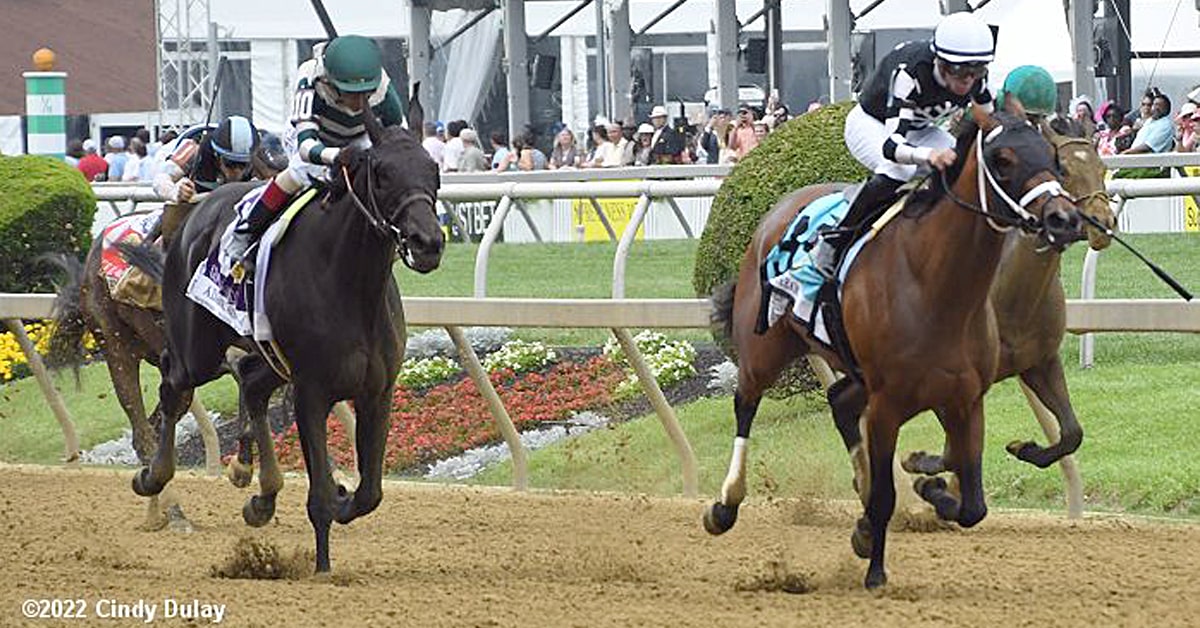 Thumbnail for Canadian-bred Interstatedaydream Looks Tough in Indiana Oaks