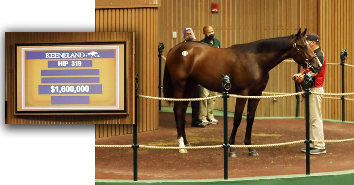 Thumbnail for $1.6 Million Filly Sahlabiya to Woodbine Oaks for Shadwell, Brown