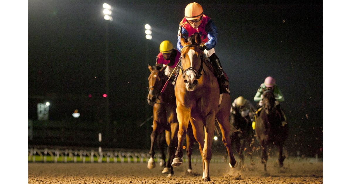 Thumbnail for Alywow Stakes, Saturday’s Woodbine Feature, Attracts Big Field