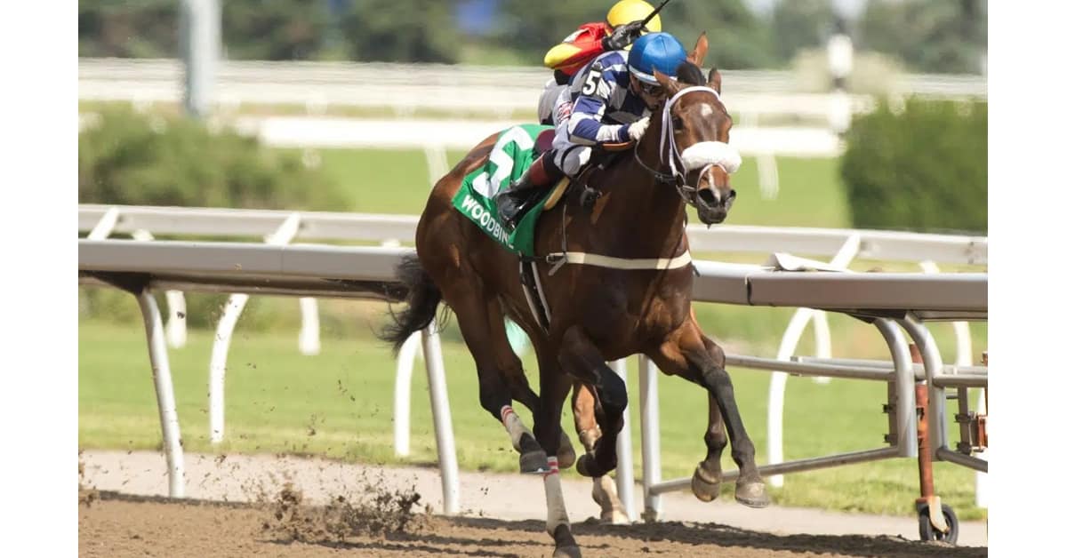 Thumbnail for 67th Woodbine Oaks: Moira Looms Large in Filly Classic