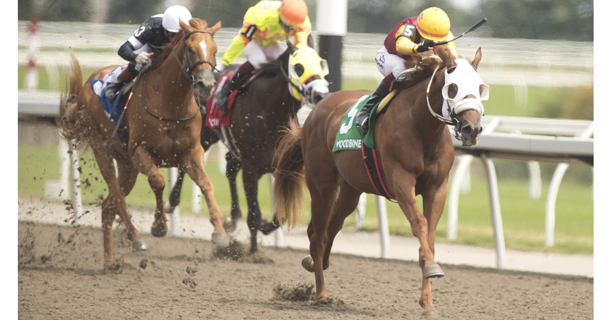 Thumbnail for Ontario-Bred/Sired Poulin in O T Scores in Victoria Stakes