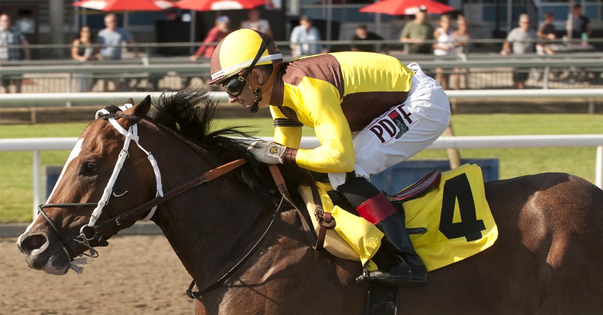 Thumbnail for Queen’s Plate Update, Contenders For July 26
