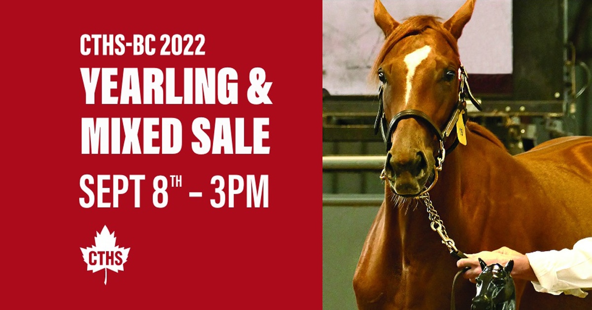 Thumbnail for Catalogue Preview: BC CTHS Yearling and Mixed Sale, Sept. 8