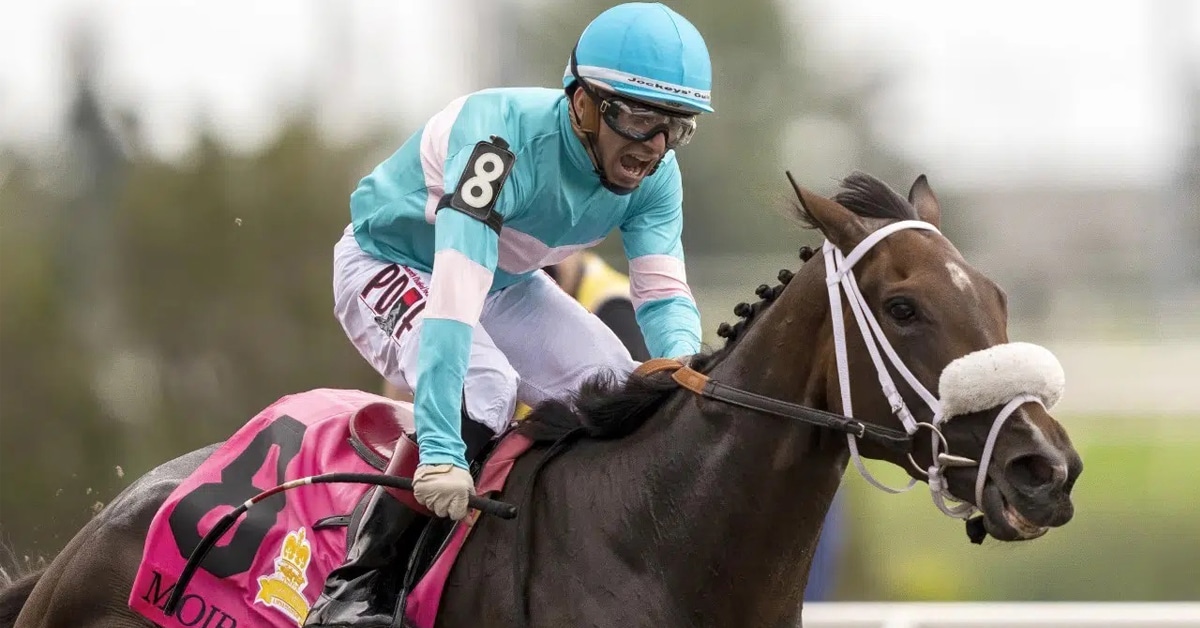 Thumbnail for Moira Romps in Queen’s Plate