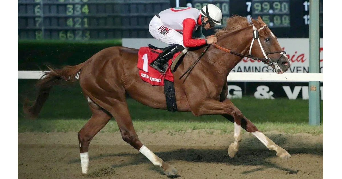 Thumbnail for Diodoro Holds Hot Hand for August 20 Canadian Derby