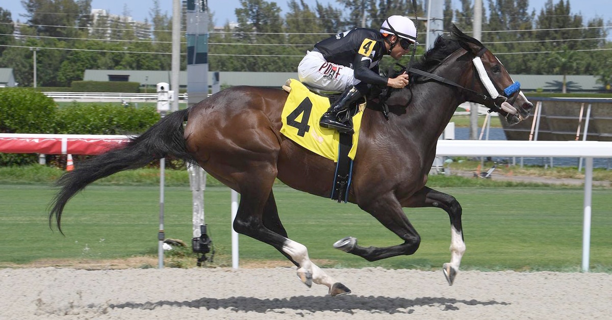 Thumbnail for Sunday Stakes Heating Up at Woodbine