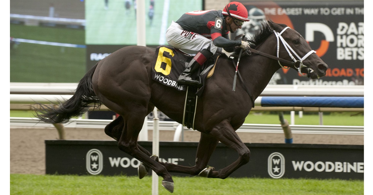 Thumbnail for Woodbine Saturday: Ancient Spirit, ‘Poulin’ Win OSS Stakes
