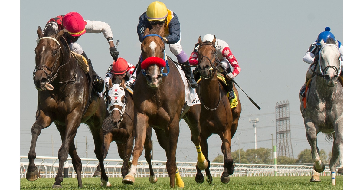 Thumbnail for Forester’s Fortune Wins Vice Regent Stakes for Silvera Family
