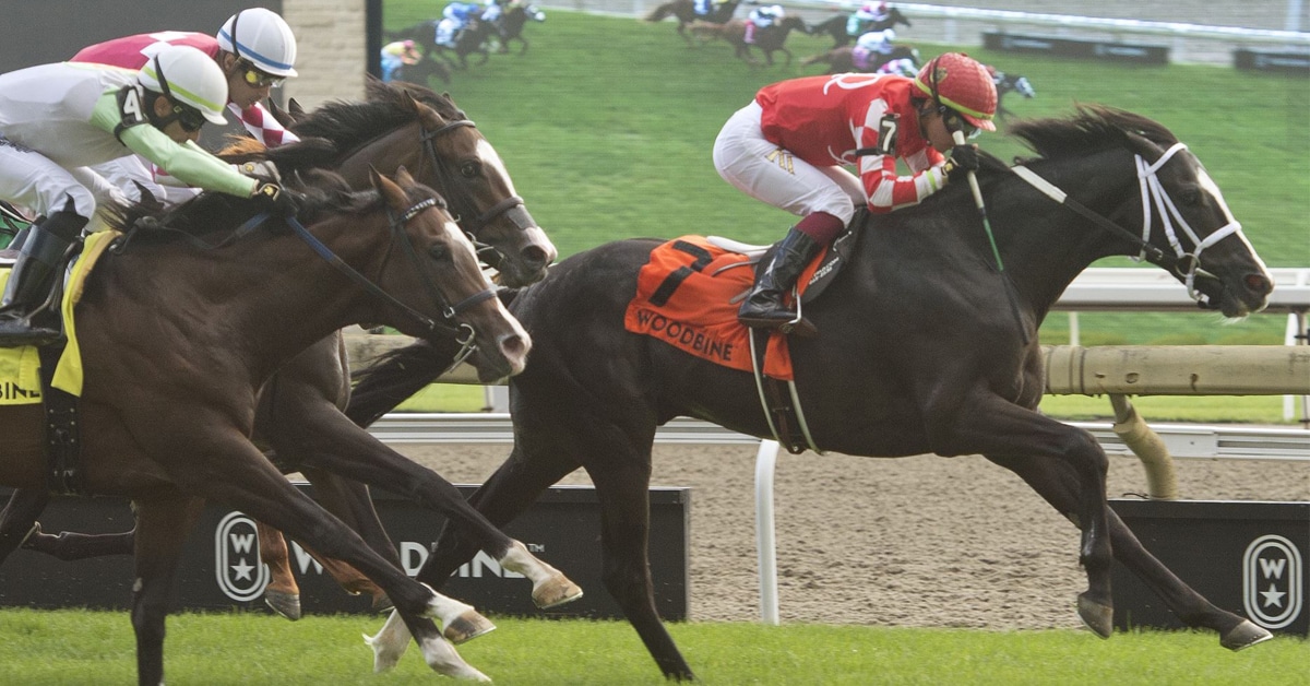 Thumbnail for Two-Year-Olds Race in Grade 1 Natalma, Summer on Super Saturday