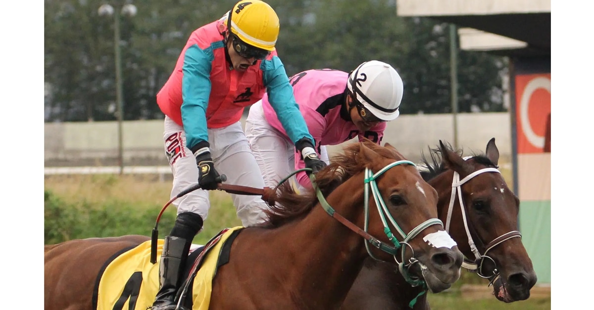 Thumbnail for BC-Bred Regal Riot Prevails in 74th BC Derby