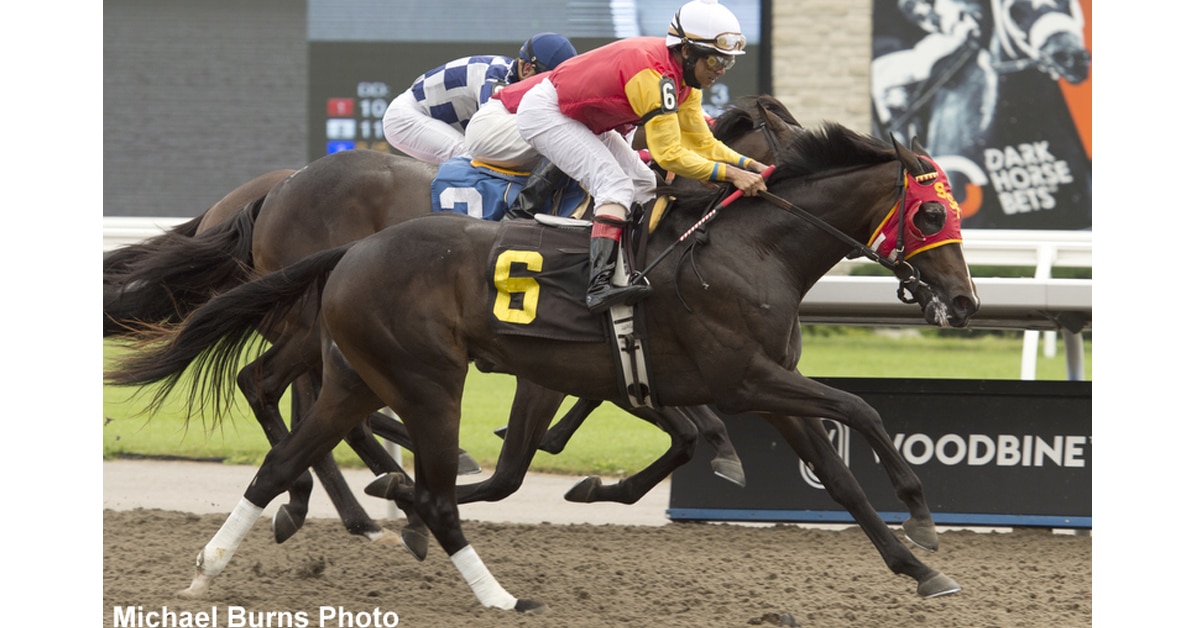 Thumbnail for 132nd Breeders’ Stakes: Casse Pair Try Turf, ‘Da’Nile’ Loves Turf