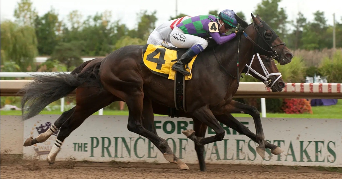 Thumbnail for Point Leaders Ready for Third Leg of Ontario Sire Heritage Series