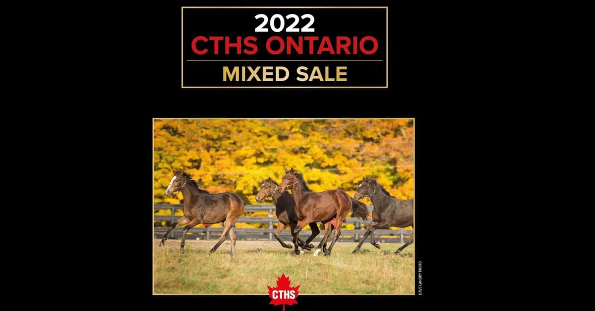 Thumbnail for CTHS Ontario Mixed Sale Set for Wednesday, October 19