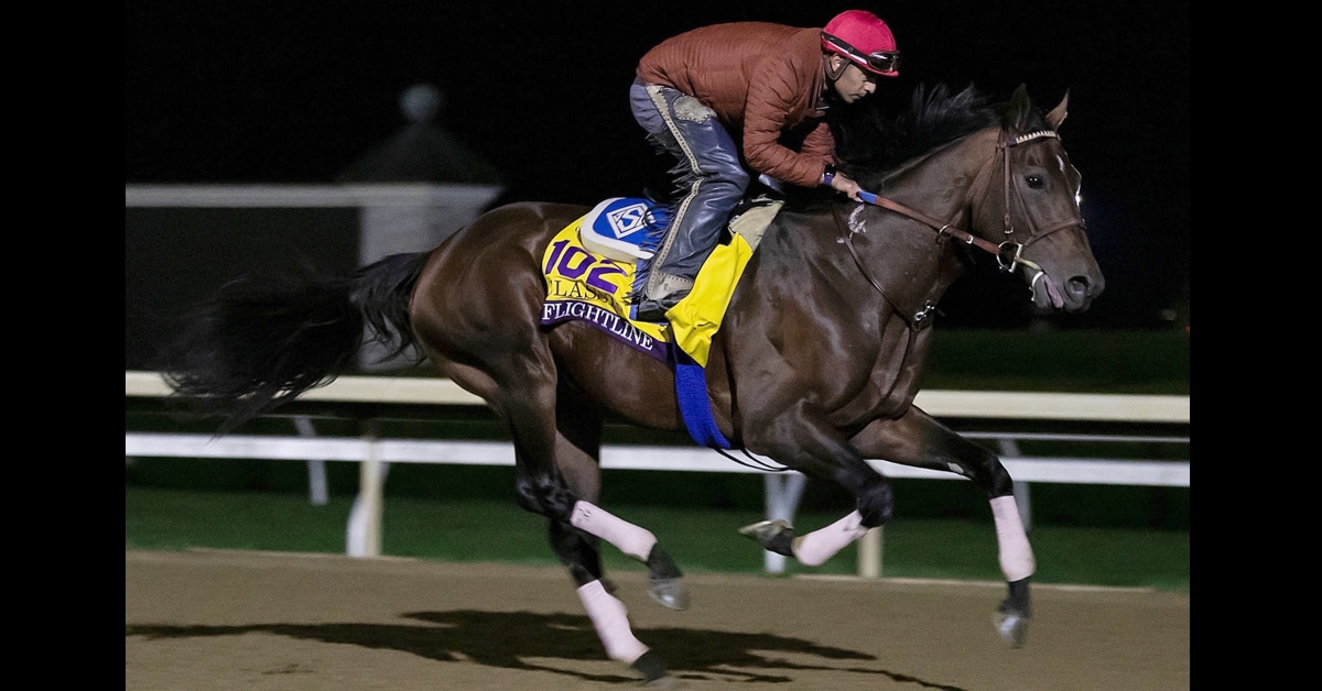 Thumbnail for Flightline Attracts a Crowd; Photos From 39th Breeders’ Cup