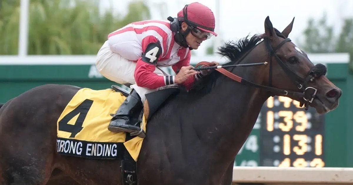 Thumbnail for Fort Erie Has 16% Wagering Increase As 2022 Season Ends