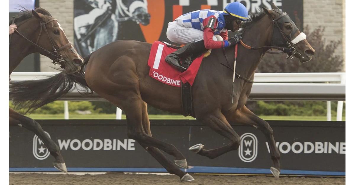 Thumbnail for Woodbine Wrap: Hazelbrook Goes Out A Winner, Loose Wire Electric