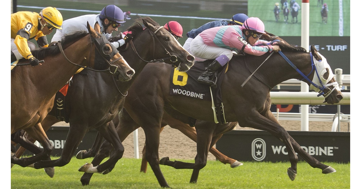Thumbnail for Ontario Derby and Ontario Damsel Stakes Set for Sunday
