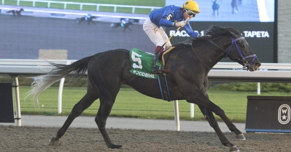 Thumbnail for Like a Rock: Ironstone Gets His Big Win; Sunday Woodbine Wrap