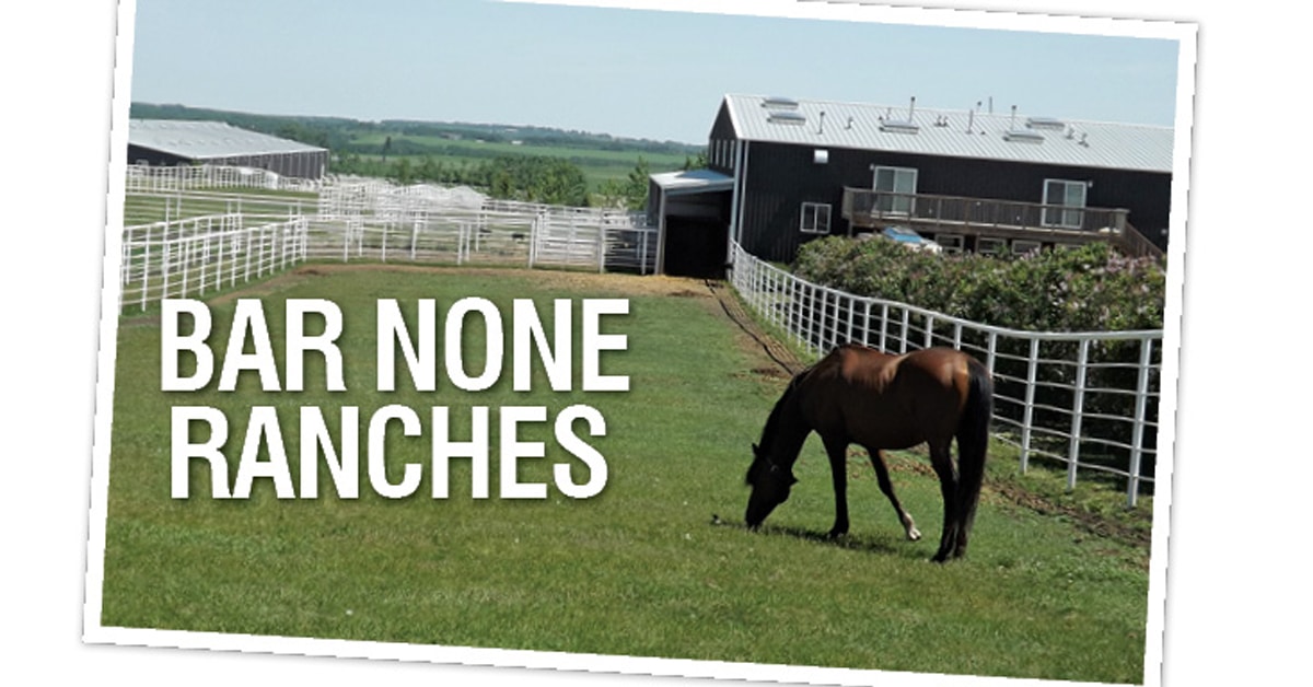 Thumbnail for Bar None Ranches Shuts Down Breeding, Stallion Divisions